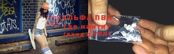 крисы Баксан