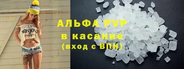 крисы Баксан