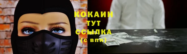 крисы Баксан