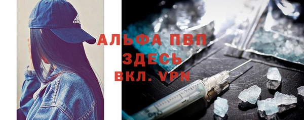 ГАЛЛЮЦИНОГЕННЫЕ ГРИБЫ Дмитриев